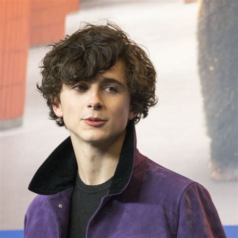 Timothee Chalamet Porn DeepFakes